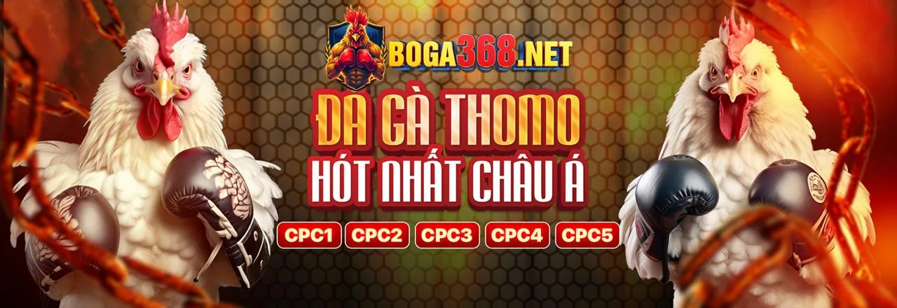 Hình ảnh chính blog yy88 link mới